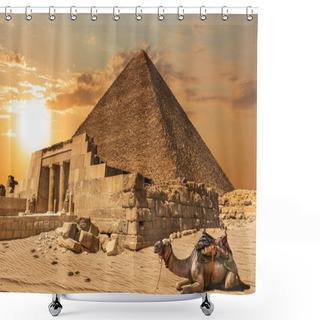 Personality  A Camel Near The Mastaba Of Seshemnefer IV And The Pyramid Of Kh Shower Curtains