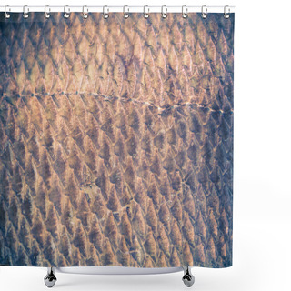 Personality  Fish Scales Background Shower Curtains
