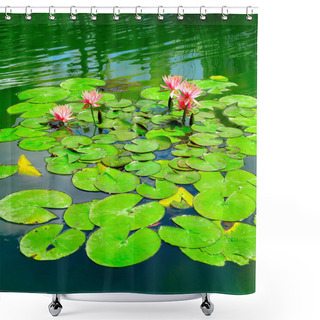 Personality  Water Lily In Small Lake Shower Curtains