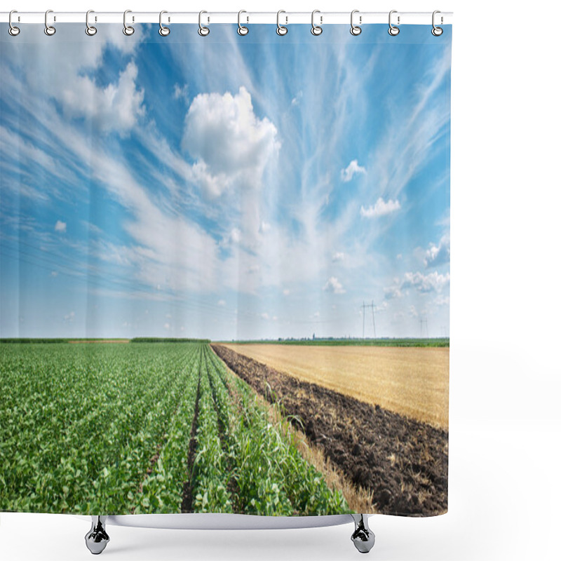 Personality  Soybean field shower curtains
