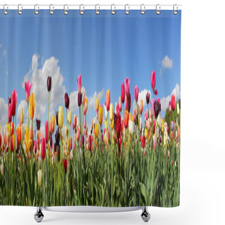 Personality  Panorama Tulip Field Shower Curtains