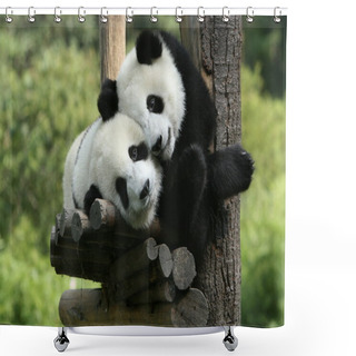 Personality  Panda Shower Curtains