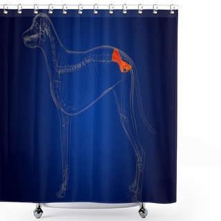 Personality  Pelvis Bones Dog Skeleton Anatomy For Medical Concept 3D Illustration Shower Curtains