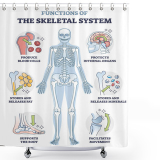 Personality  Functions Of Skeletal System Or Bone Anatomical Functionality Outline Diagram Shower Curtains