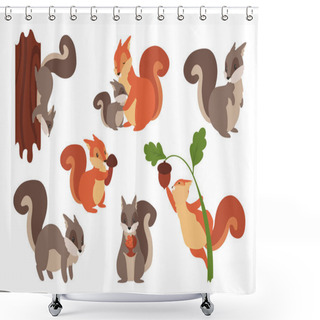 Personality  Squirrel. Cartoon Wild Furry Animals Playing With Nuts And Acorns, Climbing On Tree Or Holding Mushrooms. Gray And Orange Forest Dwellers. Vector Adorable Rodents Set With Fluffy Tails Shower Curtains