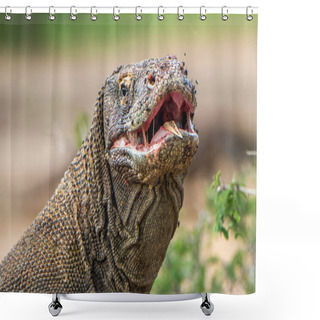 Personality  Close Up Portrait Of Komodo Dragon With Open Mouth. ( Varanus Komodoensis ) Biggest In The World Living Lizard In Natural Habitat. Rinca Island. Indonesia. Shower Curtains