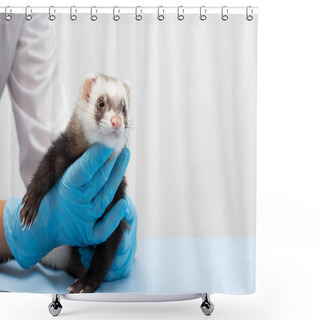 Personality  Vet Examines A Patient Ferret Isolated Banner With Copy Space Shower Curtains