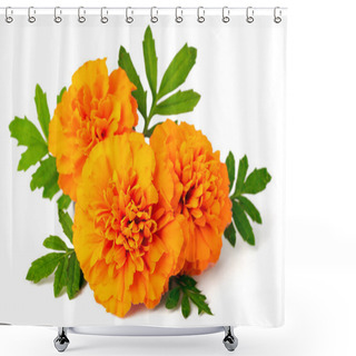 Personality  Fresh Marigold Flowers Isolated On The White Background Shower Curtains