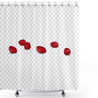 Personality  Pomegranate Seads Icon, Realistic Style Shower Curtains