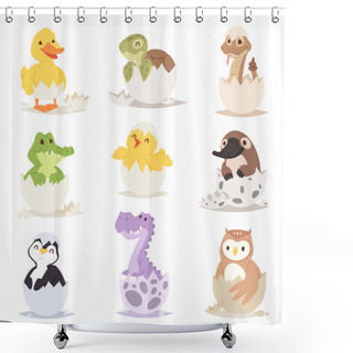 Personality  Cute New Born Animals In Eggs Easter Farm Holiday Creature Little Life And Young Shell Small Pet Nature Birthday Adorable Wildlife Poultry Tiny Character Vector Illustration. Shower Curtains