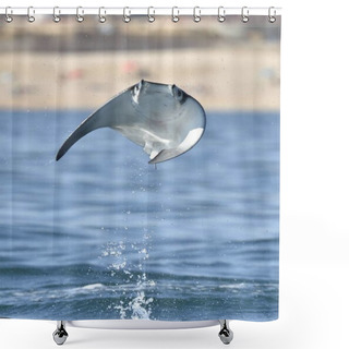 Personality  Mobula Ray Jumping Out Of Water Shower Curtains