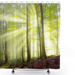 Personality  Spring Forest Light Shower Curtains