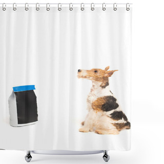 Personality  Curly Wirehaired Fox Terrier Sitting Near Pet Food Bag Isolated On White Shower Curtains