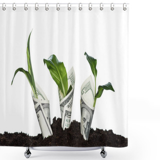 Personality  Plants Covered With Dollar Banknotes Shower Curtains