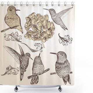 Personality  Collection Of Vector Hand Drawn Humming Birds For Design Shower Curtains