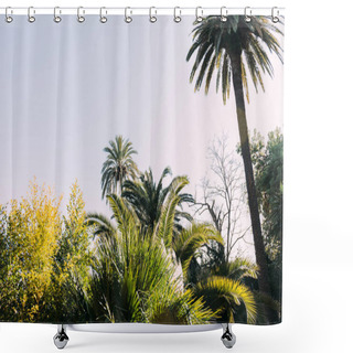 Personality  Trees And Bushes On Blue Sky Background In Parc De La Ciutadella, Barcelona, Spain Shower Curtains