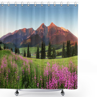 Personality  Beauty Mountain Panorama With Flowers - Slovakia Shower Curtains