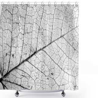 Personality  Textured Leaves Background Shower Curtains