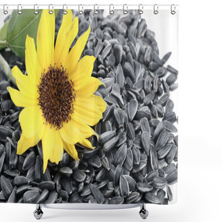 Personality  Sunflower Seeds Shower Curtains