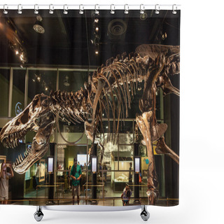 Personality  Dinosaur Exhibit At Royal Tyrrell Museum In Drumheller, Canada Shower Curtains