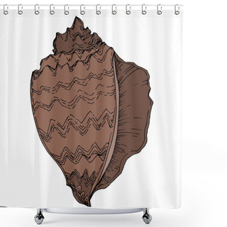 Personality  Vector Summer Beach Seashell Tropical Elements. Black And White  Shower Curtains