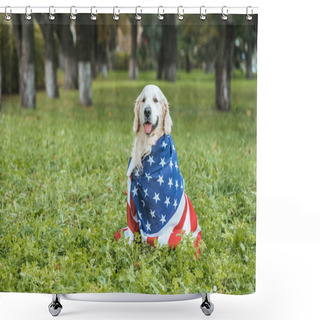 Personality  Cute Golden Retriever Dog Wrapped In American Flag Sitting On Grass In Park Shower Curtains