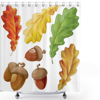 Personality  Leaves And Acorns Of Oak Shower Curtains