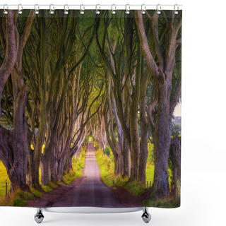 Personality  The Dark Hedges In Northern Ireland At Sunset Shower Curtains