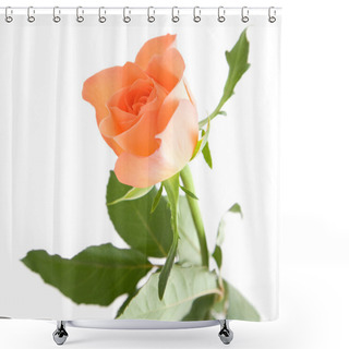 Personality  Pale Orange Rose Isolated On White Background; Shower Curtains