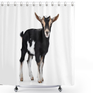 Personality  Black Baby Goat With White And Brown Spots, Standing Side Ways With Head Turned To Camera. Looking Towards Camera Showing Both Eyes And Ears Up. Isolated On White Background. Shower Curtains