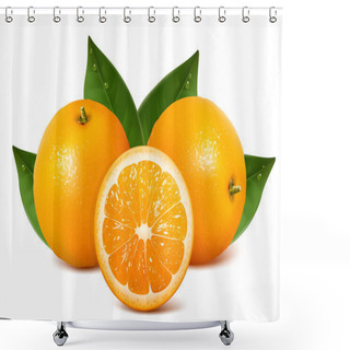 Personality  Vector Fresh Ripe Oranges With Leaves Shower Curtains