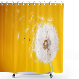 Personality  Dandelion Flying On Yellow Background Shower Curtains