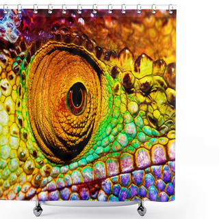 Personality  Reptilian Eye Shower Curtains