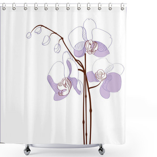 Personality  Elegance Branch Of Purple Orchids - Vector Illustration Shower Curtains