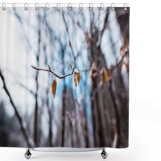 Personality  Close Up View Of Dry Tree Branch With Leaves And Snow Shower Curtains