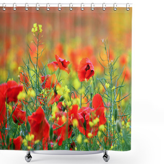 Personality  Summer Poppy Field Shower Curtains