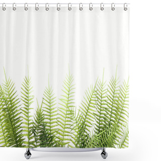 Personality  Elevated View Of Arranged Green Fern Branches Isolated On White Shower Curtains