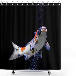 Personality  Carp Fish Shower Curtains