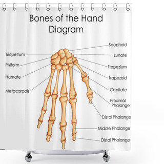 Personality  Medical Education Chart Of Biology For Bones Of Hand Diagram Shower Curtains