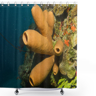 Personality  Sponges From The Caribbean Reefs. Shower Curtains