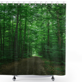 Personality  Narrow Road In Green Beautiful Forest In Wurzburg, Germany Shower Curtains