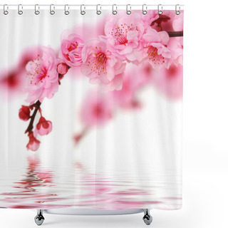 Personality  Spring Cherry Flowers Shower Curtains