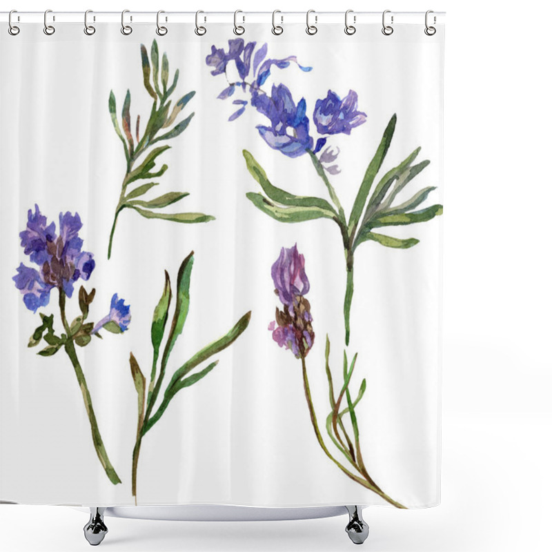 Personality  Purple lavender flowers. Wild spring wildflowers isolated on white. Hand drawn lavender flowers in aquarelle. Watercolor background illustration. shower curtains