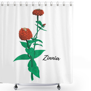 Personality  Zinnia Flower Drawing. Colorful Line Art Vector Illustration. Hand Drawn Zinnia Flowers And Leaves Sketch, Doodle. Botanical Poster Background Shower Curtains