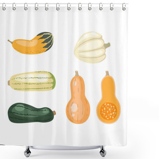 Personality  Pumpkin Vector Illustration Isolated Shower Curtains