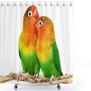 Personality  Pair Of Lovebirds Shower Curtains