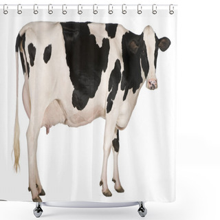 Personality  Holstein Cow, 5 Years Old, Standing In Front Of White Background Shower Curtains