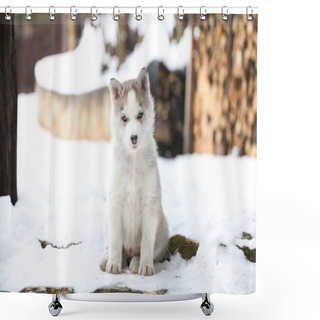 Personality  Husky Portrait In The Snow Shower Curtains