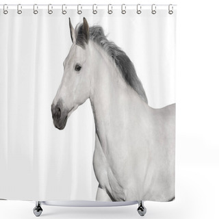 Personality  White  Horse Portrait On White Background. High Key Image Shower Curtains