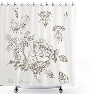 Personality  Vintage Rose Shower Curtains